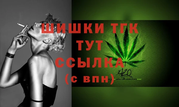бошки Бронницы