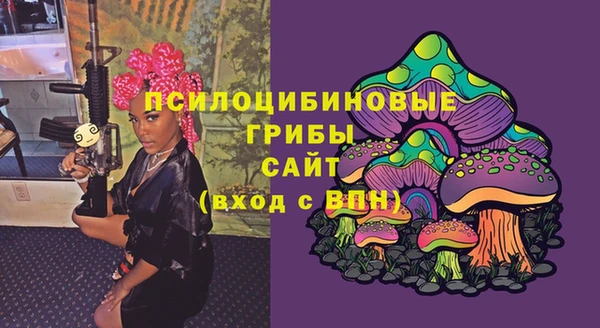 соль ск Бугульма