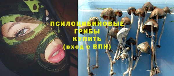 соль ск Бугульма