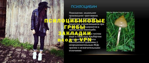 соль ск Бугульма
