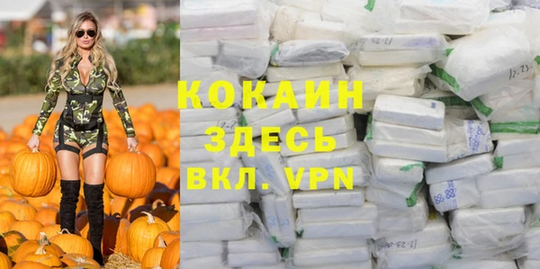 бошки Бронницы